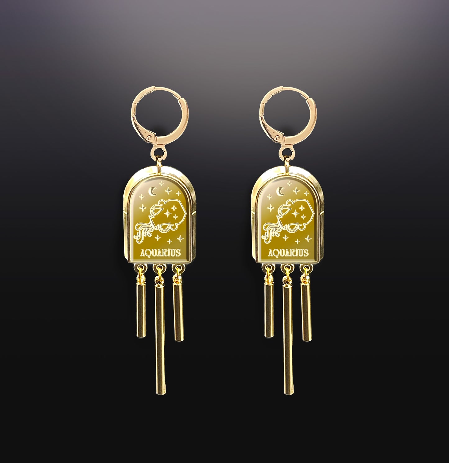 Zodiac Sign Dangle Earrings