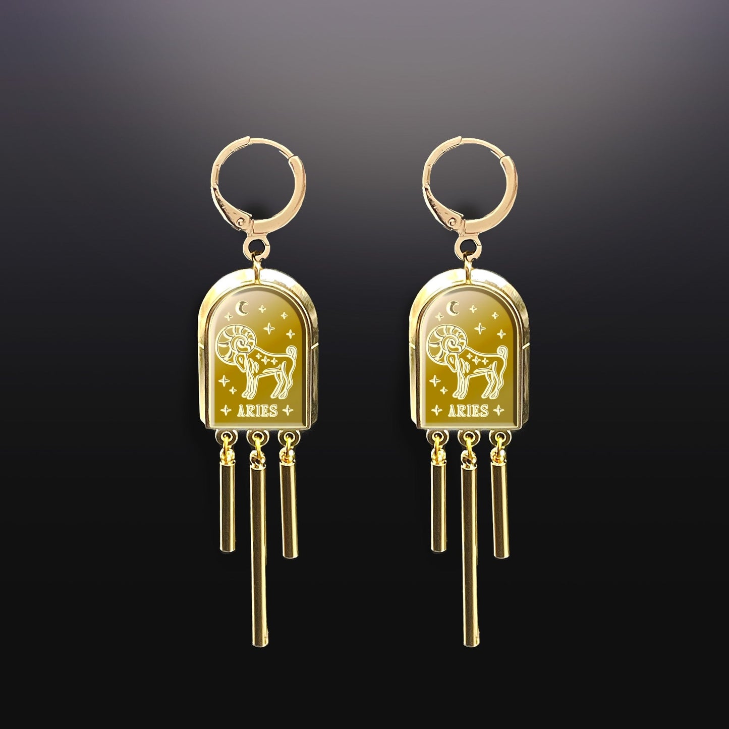 Zodiac Sign Dangle Earrings